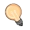 Spare Bulb